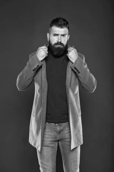 Olhar masculino. Roupa de moda. Homem hipster brutal. Hipster usando roupas casuais. Barba de Hipster e corte de cabelo elegante. Homem barbudo estilo moderno hipster. Roupa de estilo monocromático. Elegante, mas moderno — Fotografia de Stock