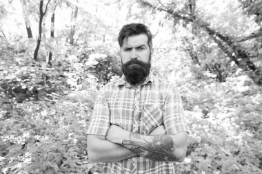 Eko yaşam tarzı. Çevreile birleşmiş. Yakışıklı oduncu. Adam sakallı hipster yeşil ağaçlar arka plan. Adam yaz doğada dinlenmek. Yaz ormanında erkek sakalı ve bıyığı. Yaz tatili konsepti