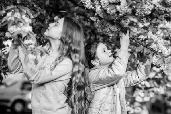 Růžový náš oblíbený. Dětská jarní zahrada. Sakurská zahrada. Děti Růžové květiny sakurského stromu. Květiny kvetou. Děti si užívají třešňový květ. Opravdové přátelství. Sestry přátelé Sakura pozadí — Stock fotografie