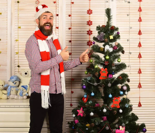 Man med skägg i hatt och halsduk presenterar gran träd — Stockfoto