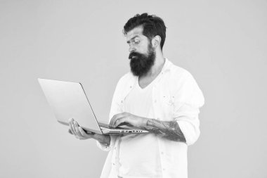 Yoğunlaştırılmış hipster, not defteri kullan. Sakallı adam dizüstü bilgisayar sarı duvarı. İnternetten alışveriş. Başarılı geliştirici. Dijital dünyada eğitim. İnternette acımasız adam sörfü programlıyorum. İşine odaklan