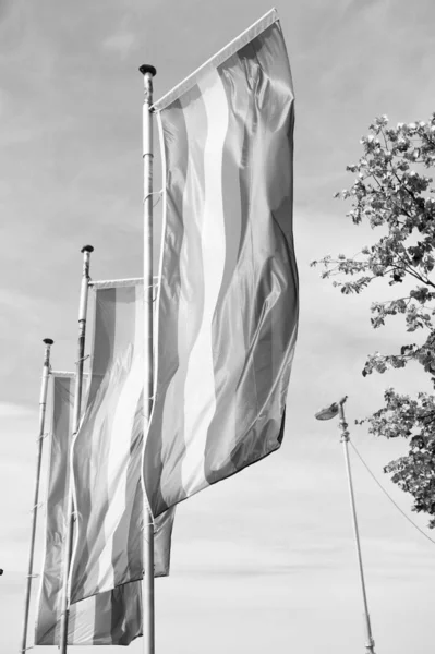 Life gets better together. LGBT flags wave on sky. Rainbow flags. Symbol of LGBT community. Lesbian and gay. Bisexual and transgender. Queer. LGBT rights social movement. LGBT pride month — Stock Photo, Image