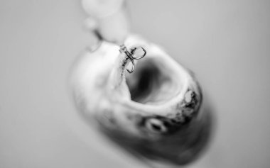 İyi bir av. Tuzaktaki balıklar yakın çekim. Balık açık ağız kanca asmak. Yem kaşığı balıkçılık aksesuarı. Balık kancası veya fishhook ya ağızda delinerek yakalamak için bir cihazdır. Kancaya tak. Alabalık yakalandı