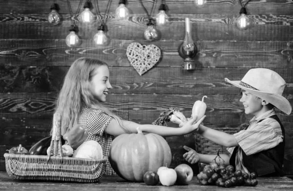 Kinder Bauern Mädchen Junge Gemüse ernten. Die Landwirtschaft lehrt die Kinder, woher ihr Essen kommt. Geschwister, die Spaß haben. Familienbetrieb. Bauernmarkt. Kinder präsentieren Bauernhof Ernte Holz Hintergrund — Stockfoto