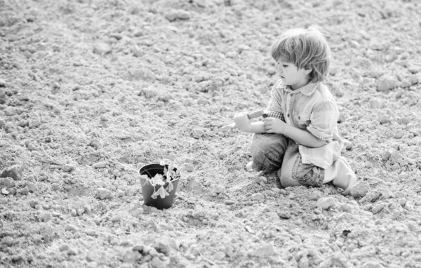 Ребенок веселится с маленькой лопатой и растением в горшочке. Посадка в поле. Маленький помощник в саду. Мальчик сажает цветок в поле, копает землю. Работать на ферме. Материнская природа. Посадка саженцев — стоковое фото
