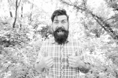 Sadece bir başparmak ver. Mutlu adam yaz manzara üzerinde thumbups gesturing. Bıyıklı ve sakallı hipster başparmak yukarı işaret ile elleri uzatan. Sakallı adam başparmak yukarı ile gülümseyen