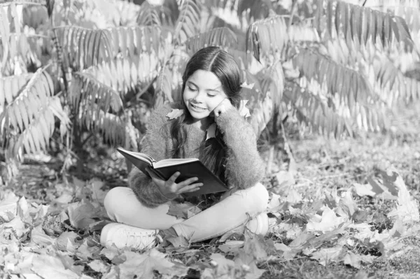 R wie Lesen. Nettes kleines Kind lernt an einem sonnigen Herbsttag lesen. Entzückendes kleines Mädchen liest Buch über natürliche Landschaft. Ssch hört auf zu lesen. Bibliothek. Bücher als Informationsquellen — Stockfoto