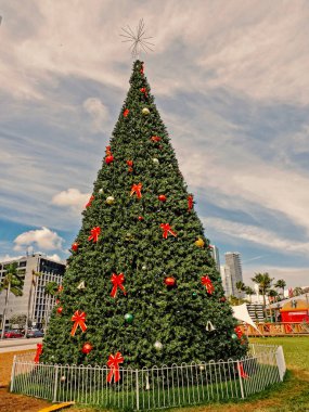 Bulutlu gökyüzü arka plan Noel ağacına Miami, ABD