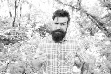 Hey, bak. Sakallı adam, doğal manzaradan önce parmağını işaret ediyor. Acımasız hipster kamera onun Dizin parmağı ile işaret. Kafkaslayan adam bir şeyi işaret ediyor. İşaret hareketi yapma