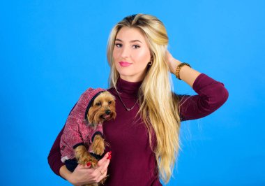 Yorkshire Teriyeri taşıyan bir kadın. Çekici sarışın kız sevimli köpeğe sarılıyor. Kıyafet ve aksesuarlar. Hayvan malzemeleri. Soğuk hava için köpeğini giydiriyorsun. Köpeklerin kıyafete ihtiyacı var. Hangi köpek ırkı ceket giymeli?