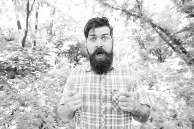 Yaz tatili konsepti. Vahşi doğa aktivitelerini keşfedin. Adam sakallı hipster yeşil ağaçlar arka plan. Duygusal doğa aşığı. Yaz ormanında yakışıklı bir sakal ve bıyık. Çevre ile birleşik