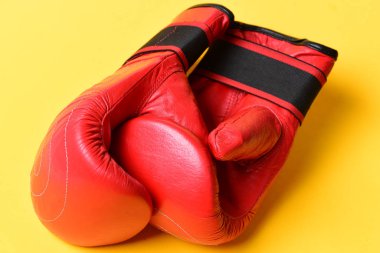 Koruma ve güç kavramı. Deri kutu ekipmanı