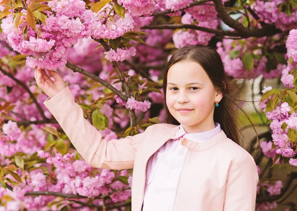 Girl enjoying cherry blossom or sakura. Cute child enjoy nature on spring day. Aromatic blossom concept. Girl tourist posing near sakura. Tender bloom. Child on pink flowers of sakura tree background