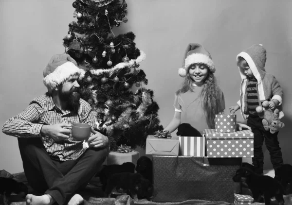 Dziewczyna, chłopiec i mężczyzna w kapeluszach świątecznych w pobliżu szczeniąt — Zdjęcie stockowe