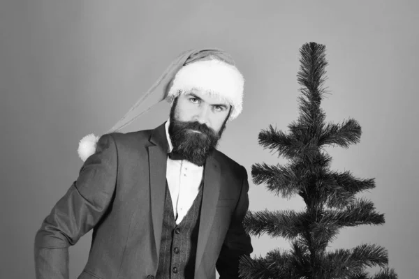 Empresario con cara seria cerca de árbol de Navidad calvo. —  Fotos de Stock