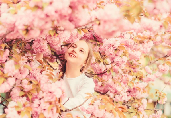 어린 소녀는 봄을 즐긴다. 분홍색 벚꽃을 좋아하는아이. 부드러운 꽃봉오리. 핑크 색은 가장 아름다운 색입니다. 밝고 활기차게. 핑크가 제일 좋아. 사쿠라 나무의 분홍색 꽃 위에 앉아 있는 아이 — 스톡 사진