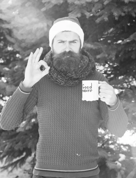 Homem carrancudo em santa chapéu hipster barbudo com barba — Fotografia de Stock