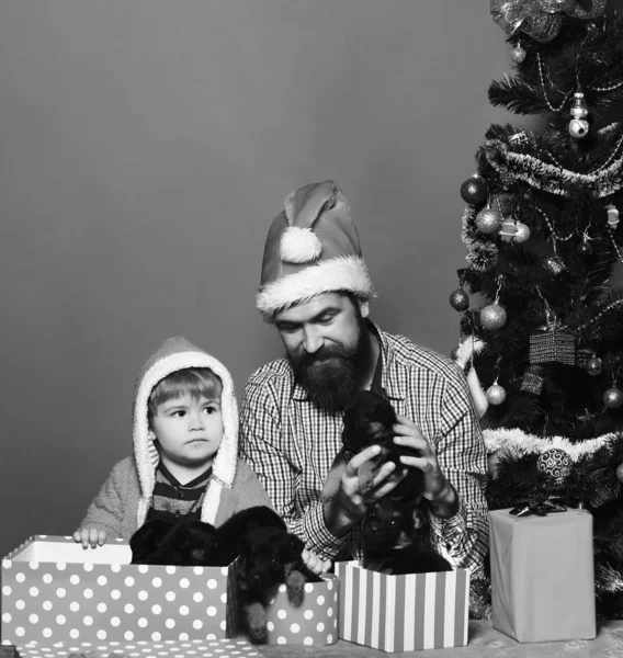 Papa met baard en kind houden honden in de buurt van kerstboom — Stockfoto