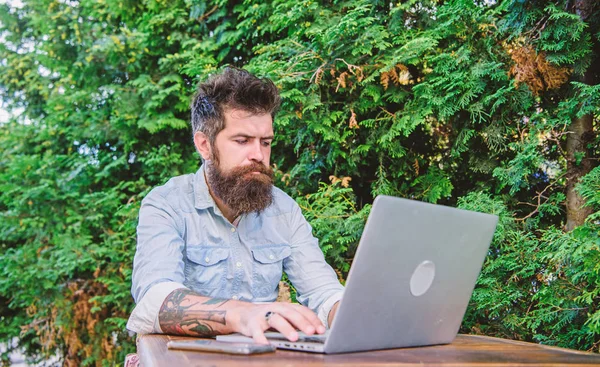 Sadece freelancing. Ücretsiz Wi-Fi ve kahve keyfini serbest bilgisayar programcısı. Sakallı adam çalışma serbest. Profesyonel çalışma dışına serbest. Dizüstü bilgisayar serbest işi hipster — Stok fotoğraf