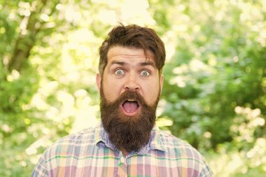 Yürüyüş ve seyahat. Adam yaz doğasında rahatlıyor. Çevre ile birleşmiş. Yakışıklı bir oduncu. Yaz ormanında sakal ve bıyık. Yaz tatili kavramı. Sakallı hippi yeşil ağaçlar.