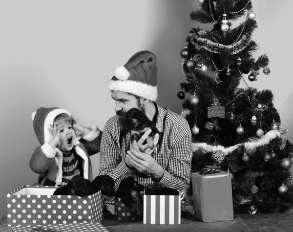 Noel Baba şapkalı bir adam ve bir çocuk yavru köpeklerle oynuyor. — Stok fotoğraf