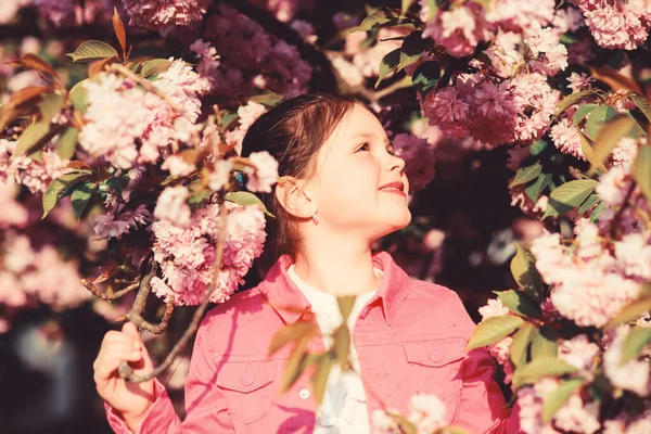 Wunderschöne Blütenpracht. Mädchen Kirschblüte Hintergrund. Der Sakura-Baum blüht. Park und Garten. Mädchen kleines Kind im Frühling blühen Blumen. genießen Sie den Duft der zarten Blüte sonnigen Tag. Sakura-Blütenkonzept — Stockfoto