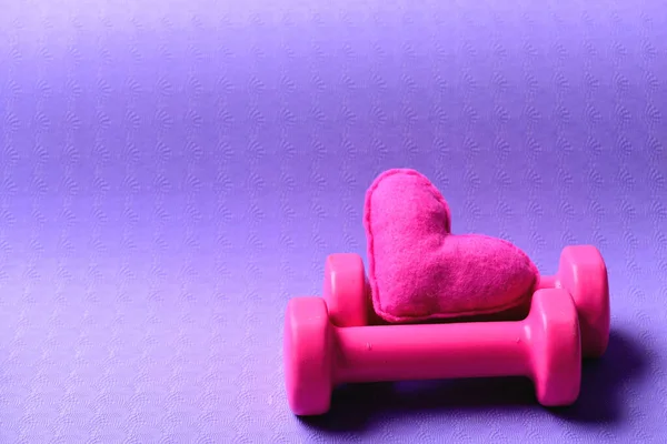Halteres feitos de plástico rosa perto de coração de brinquedo macio — Fotografia de Stock