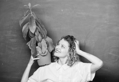 Kolay ev bitkileri. İyi bak, ev bitkilerine iyi bak. Kız saksıda bitki tutun. Çiçek çiyi. Botanik bitkiler çiçekler ve otlar hakkında. Ev bahçesi. Houseplants faydaları ve sağlık üzerinde olumlu etkisi