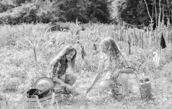 Vive brillantemente. agricultura feliz. lado del campo de primavera. niños trabajan en el uso de campo herramienta de jardinería. Día de la Tierra. granja familiar de verano. proteger la naturaleza. Cosecha rica. niñas pequeñas agricultor en el jardín del pueblo — Foto de Stock