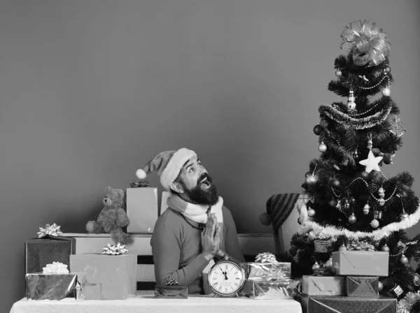 Санта Клаус сидить біля ялинки на синьому фоні.. — стокове фото