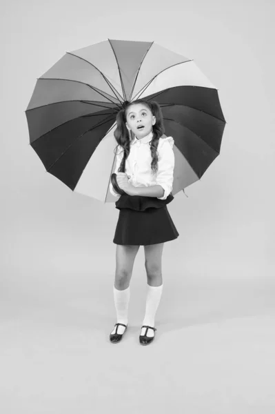 학교에 가는 길에. 패션 액세서리. 9월 의 비가 오는. 비오는 날 액세서리. 멋진 여학생입니다. 우산을 가진 소녀입니다. 비오는 날. 행복한 어린 시절. 우산에 행복한 아이. 가을 일기 예보 — 스톡 사진