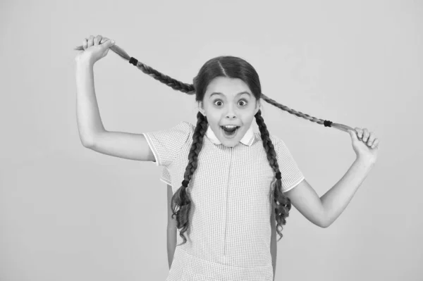 Salão de cabeleireiro. Lindas alunas. Meninas com estilo de cabelo trançado. Estudantes alegres fundo amarelo. Meninas brincando com tranças bonitos. Lindas alunas. Voltar ao conceito de escola — Fotografia de Stock