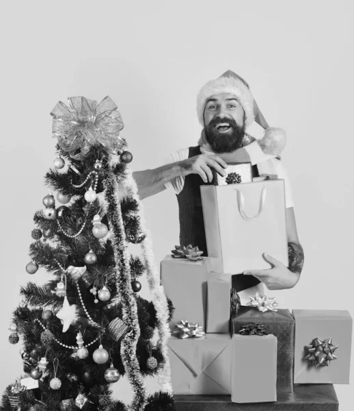 Noel Baba renkli paketlerle süslenmiş köknar ağacının yanında. — Stok fotoğraf