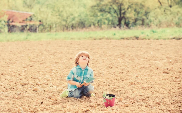 Concepto de jardinería. Niño divirtiéndose con pala pequeña y planta en maceta. Plantando plántulas. Plantando en el campo. Pequeño ayudante en el jardín. El chico se sienta en el suelo plantando flores en el campo. Tiempo divertido en la granja — Foto de Stock