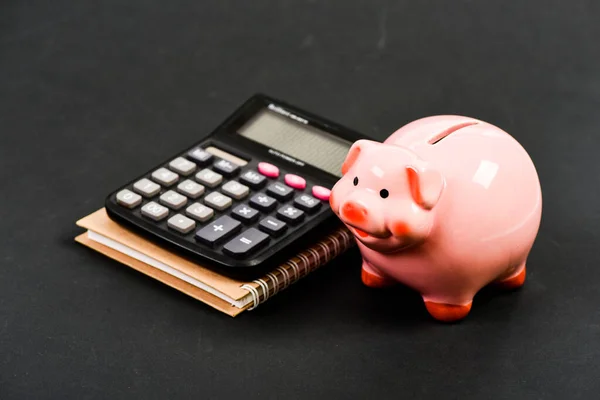 Bouwen aan het beheren en behouden van uw rijkdom. Varkensspaargeld. Bankwezen en boekhouding. Financiële hulpdiensten. Advisering van financiële steun. Cursussen financiële geletterdheid. Financieel verslag — Stockfoto