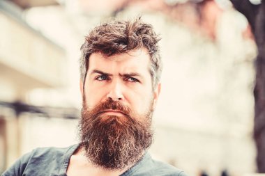 Vahşi erkeğin berbere ihtiyacı var. Sakallı adam yalnızlık hisseder. Açık havada düşünceli bir adam. Yüz bakımı. Bekliyor ve tamir ediyor. Sakallı, olgun bir hippi. Havalı ve seksi