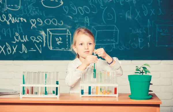 Keşfet ve araştır. Okul dersi. Güzel okul öğrencisi kız test tüpleri ve renkli sıvılarla oynuyor. Okulun kimyasal deneyi. Okul eğitimi. Öğrenmek için ilginç bir yaklaşım. Geleceğin bilim adamı — Stok fotoğraf