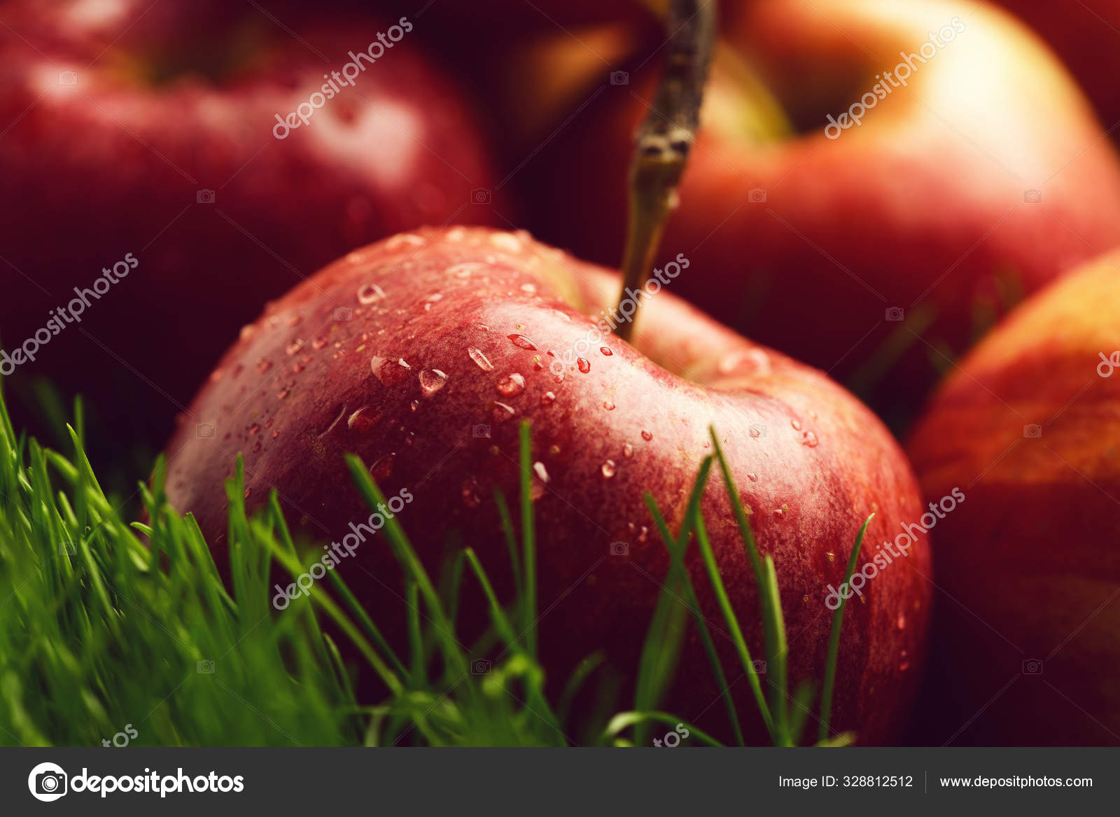 apple red color fallen on fresh green grass.
