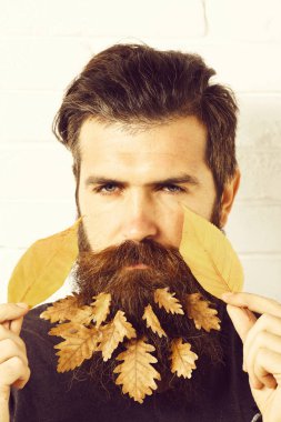 Beyaz tuğla duvarda sakallı bir hippi.