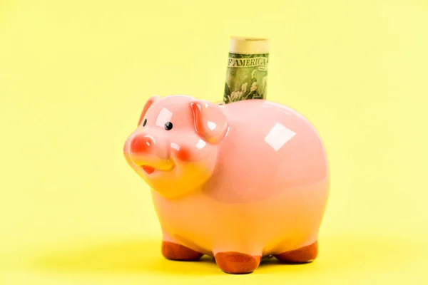 Financial wellbeing. Piggy bank pink pig stuffed dollar banknote cash. Save money. Economics and finance. Credit concept. Money saving. Banking account. Earn money salary. Money budget planning