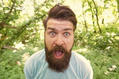 Çıldır. Doğal ortamda çılgın sakallı bir adam. Uzun sakallı hippi duygusal suratı doğa geçmişini kapatıyor. Saç bakımlı erkek güzeli. Yaz eğlencesi. Park Ormanı 'ndaki sakallı adam. Sakallı hippi.