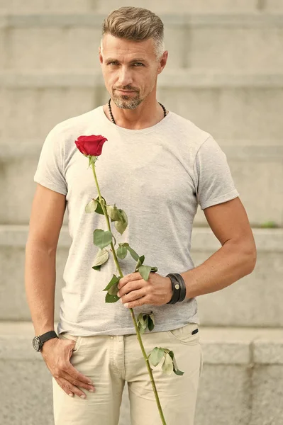 Святкування особливого свята. Красивий чоловік тримає червону троянду для святкування свята. Кавказький хлопець зі свіжими природними подарунок свято. Дозволяє запалити ваше свято яскравим кольором — стокове фото