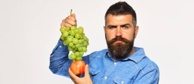 Çiftçi hasatını gösteriyor. Şarap yapımı ve sonbahar meyveleri konsepti.