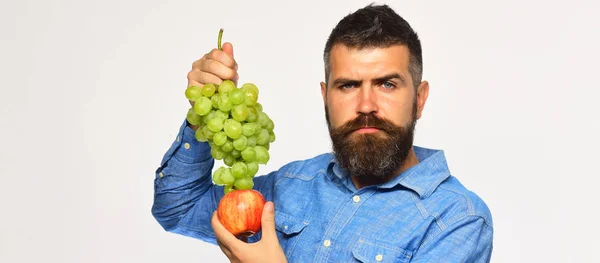 Farmer shows his harvest. Winemaking and autumn fruits concept. — 스톡 사진