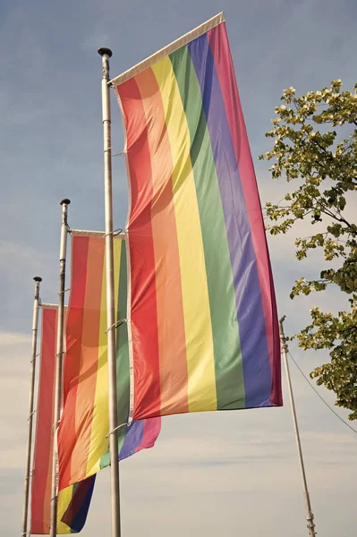 Радужные флаги гордости на флагштоках против голубого неба. Парад ЛГБТ-гордости. Прайд-парады под открытым небом в честь лесбиянок-геев-бисексуалов. Концепция гей гордости. Правовые права — стоковое фото