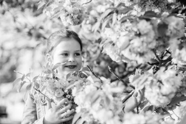 Sakura ağacı çiçeklenme. Park ve Bahçe. Bahar çiçek Bloom kız küçük çocuk. İhale Bloom güneşli gün kokusu tadını çıkarın. Sakura çiçek konsepti. Muhteşem çiçek güzelliği. Kız kiraz çiçek arka plan