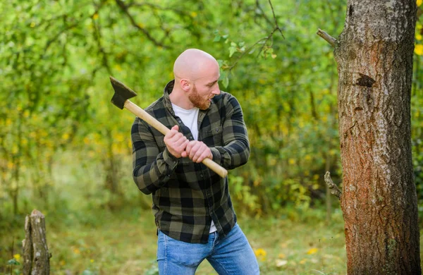 森の中の冷酷で魅力的な男。力と強さ。ルンベルジャックは斧を持ってる。はげ木工の労働者。ランチョに住んでる。男らしさの概念です。髭のヒップスターカットツリー。チェッカーシャツは斧を使う — ストック写真