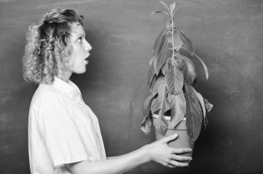 Çiçekçi konsepti. Botanik ve biyoloji dersi. Botanik eğitimi. Botanik uzmanı. Botanik bitkiler çiçekler ve otlar hakkında. Kadın kara tahta arka plan pot taşıma tesisi. İyi bakım tesisleri alın