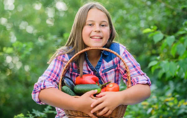 Gmo serbest. Çevre tarımı. Sağlıklı bir hayat yaşayan tatlı, gülümseyen bir çocuk. Sağlıklı bir yaşam tarzı. Sağlıklı ev yemeği konsepti. Sağlıklı beslen. Yaz hasadı konsepti. Çocuk sebze topluyor. — Stok fotoğraf