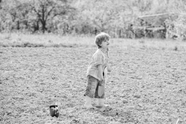 Ecologia e tutela ambientale. bambino piccolo piantare un fiore. Giorno di terra. terreni e fertilizzanti. fattoria estiva. agricoltura e agricoltura. giardiniere bambino felice. primavera villaggio di campagna. Giardiniere — Foto Stock